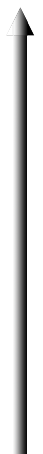ruler